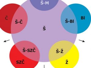 Problematika enioanatomie - základní popis